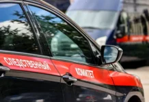 kurer iz novosibirska i pensionerka nahodyatsya pod kontrolem mvd-ekaterinburgu-ru-0