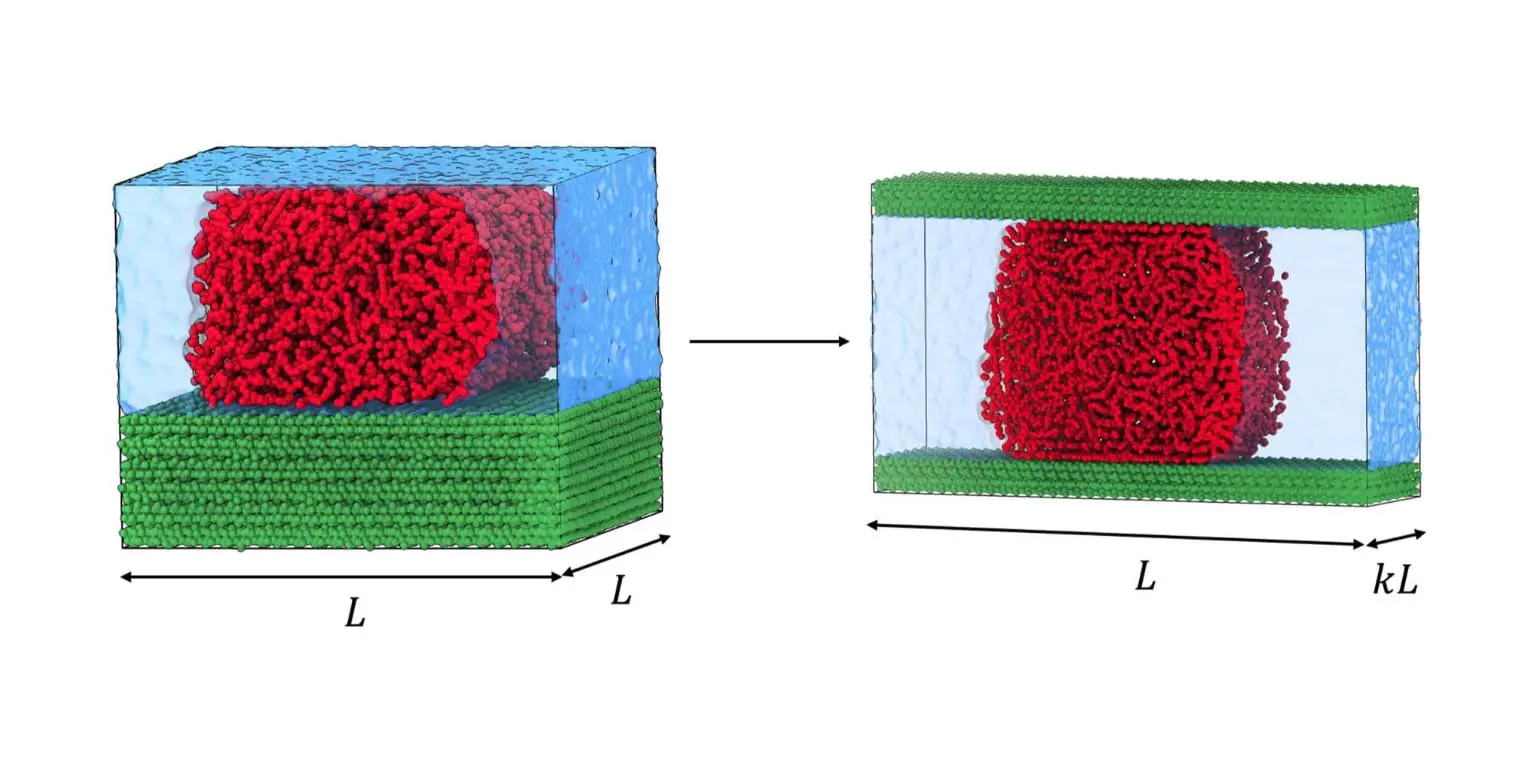 МФТИ представляет PANDA и команду Ильи Копаничука, меняющую подход к нанопорам-0
