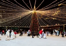 Наталья Сергунина сообщила о открытии 17 катков в парках Москвы natalya sergunina soobshhila o otkrytii 17 katkov v parkah moskvy-ekaterinburgu-ru-0