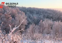 primgidromet predskazyvaet myagkuyu zimu vo vladivostoke i primore-ekaterinburgu-ru-0