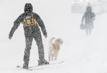 Режим чрезвычайной ситуации в Елизовском округе Камчатки преодолен rezhim chrezvychajnoj situaczii v elizovskom okruge kamchatki preodolen-ekaterinburgu-ru-0