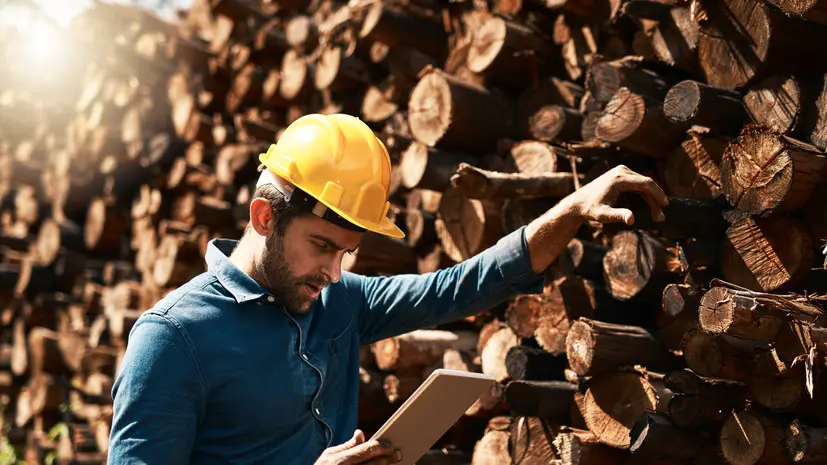 В Рослесхозе рассказали о ситуации с кадрами в лесной отрасли