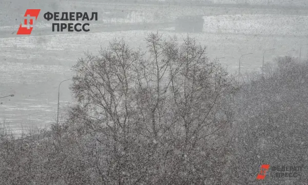 Сергей Лебедев сообщил о введении режима ЧС в Елизовском округе Камчатки из-за циклона-0