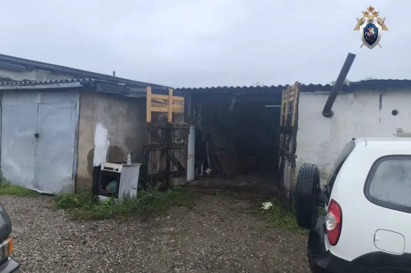 Четверо жителей Приморья обвиняются в похищении двоих человек, включая подростка пресс-служба Следкома Приморья