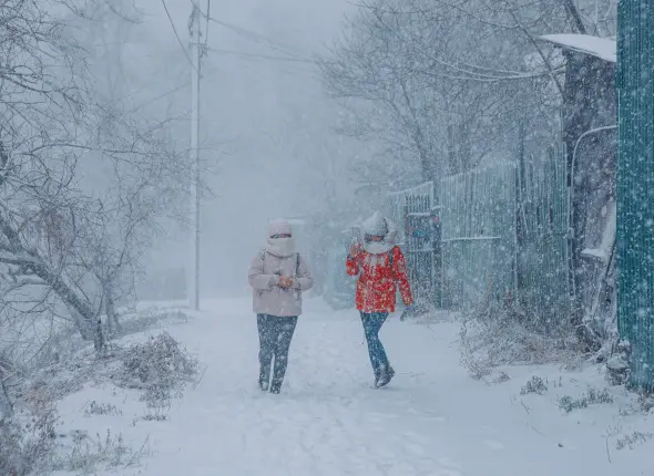 Фото: primamedia.ru