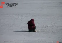 Спасатели Советской Гавани ищут мужчину после ЧП с 13-летним мальчиком spasateli sovetskoj gavani ishhut muzhchinu posle chp s 13letnim malchikom-ekaterinburgu-ru-0