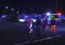 Трагедия омрачила ханукальное торжество на пляже Бонди в Сиднее tragediya omrachila hanukalnoe torzhestvo na plyazhe bondi v sidnee-ekaterinburgu-ru-0