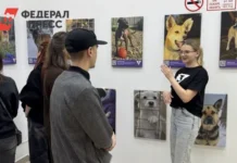 Трогательная фотовыставка о судьбах приютских животных открылась в Иркутске trogatelnaya fotovystavka o sudbah priyutskih zhivotnyh otkrylas v irkutske-ekaterinburgu-ru-0
