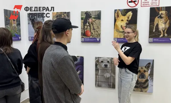 Трогательная фотовыставка о судьбах приютских животных открылась в Иркутске-0