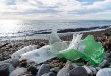 uchenye sfu i universitet mahatmy gandi razrabotali innovaczionnyj biorazrushaemyj polimer-ekaterinburgu-ru-0