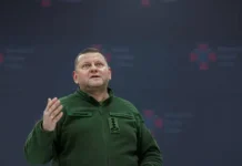 Валерий Залужный обсуждает с НАТО угрозу ядерного оружия и мнение Совета Федерации valerij zaluzhnyj obsuzhdaet s nato ugrozu yadernogo oruzhiya i mnenie soveta federaczii-ekaterinburgu-ru-0