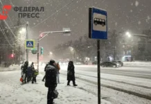 Владивосток готовится к снегопаду, Константин Шестаков предлагает завершить рабочий день раньше vladivostok gotovitsya k snegopadu konstantin shestakov predlagaet zavershit rabochij den ranshe-ekaterinburgu-ru-0