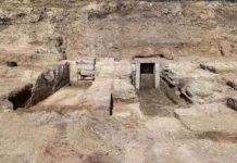 Археологи исследуют древнюю гробницу с саркофагом в Пьетралате arheologi issleduyut drevnyuyu grobniczu s sarkofagom v petralate-ekaterinburgu-ru-0