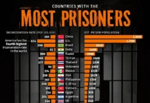 Динамика заключенных в Китае, США и других странах по данным Prison Policy Initiative dinamika zaklyuchennyh v kitae ssha i drugih stranah po dannym -ekaterinburgu-ru-0