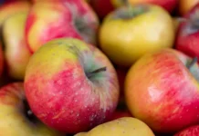 Эксперты советуют лучшие продукты для свежего дыхания eksperty sovetuyut luchshie produkty dlya svezhego dyhaniya-ekaterinburgu-ru-0