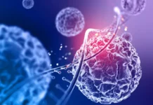 ИТМО и Дарья Недорезова разрабатывают ДНК-наномашины против рака itmo i darya nedorezova razrabatyvayut dnknanomashiny protiv raka-ekaterinburgu-ru-0