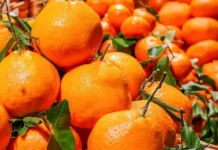 Мария, Оксана и Алексей борются за бойцов СВО на московских ярмарках mariya oksana i aleksej boryutsya za bojczov svo na moskovskih yarmarkah-ekaterinburgu-ru-0