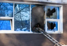 МЧС оперативно ликвидировало пожар в ТЦ "Игнат" во Владивостоке mchs operativno likvidirovalo pozhar v tcz ignat vo vladivostoke-ekaterinburgu-ru-0