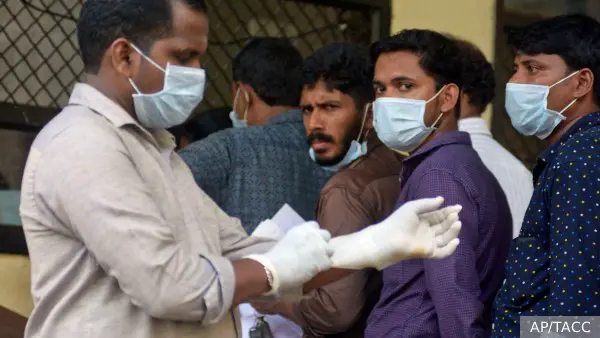 Академик Гинцбург объяснил особую опасность вируса Нипах