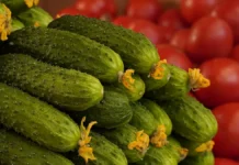 РУДН и Agro and Food Communications – анализ цен на овощи rudn i analiz czen na ovoshhi-ekaterinburgu-ru-0