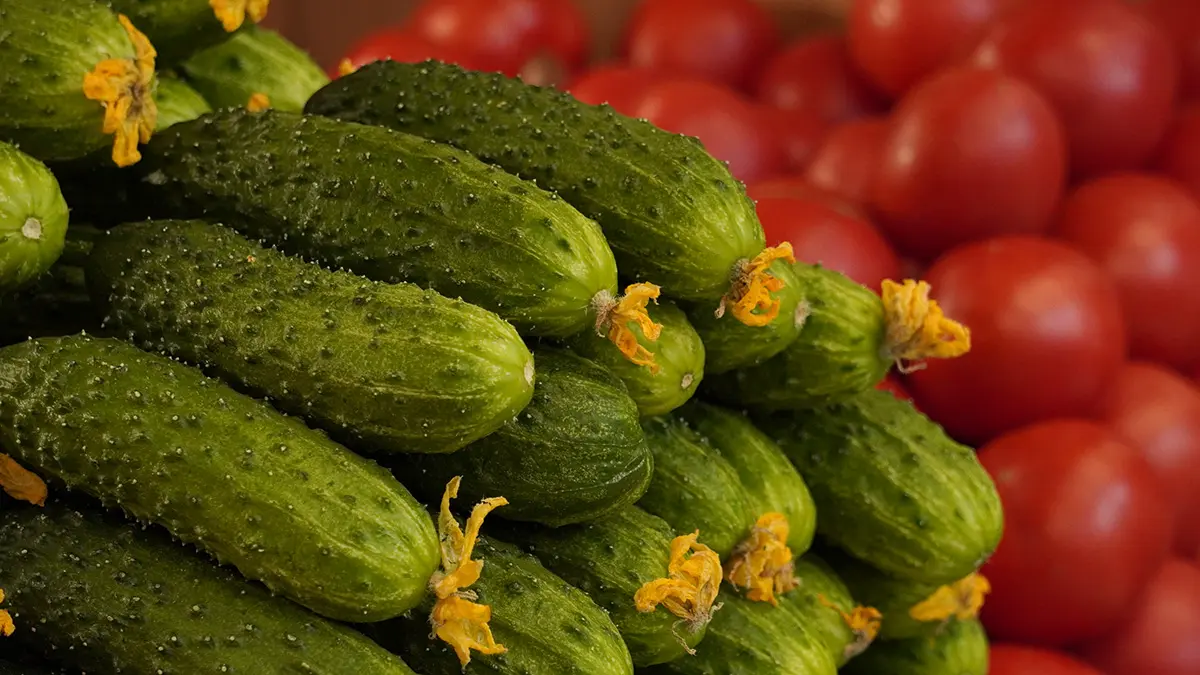 Экономист Белхароев: Цены на овощи продолжат расти в марте