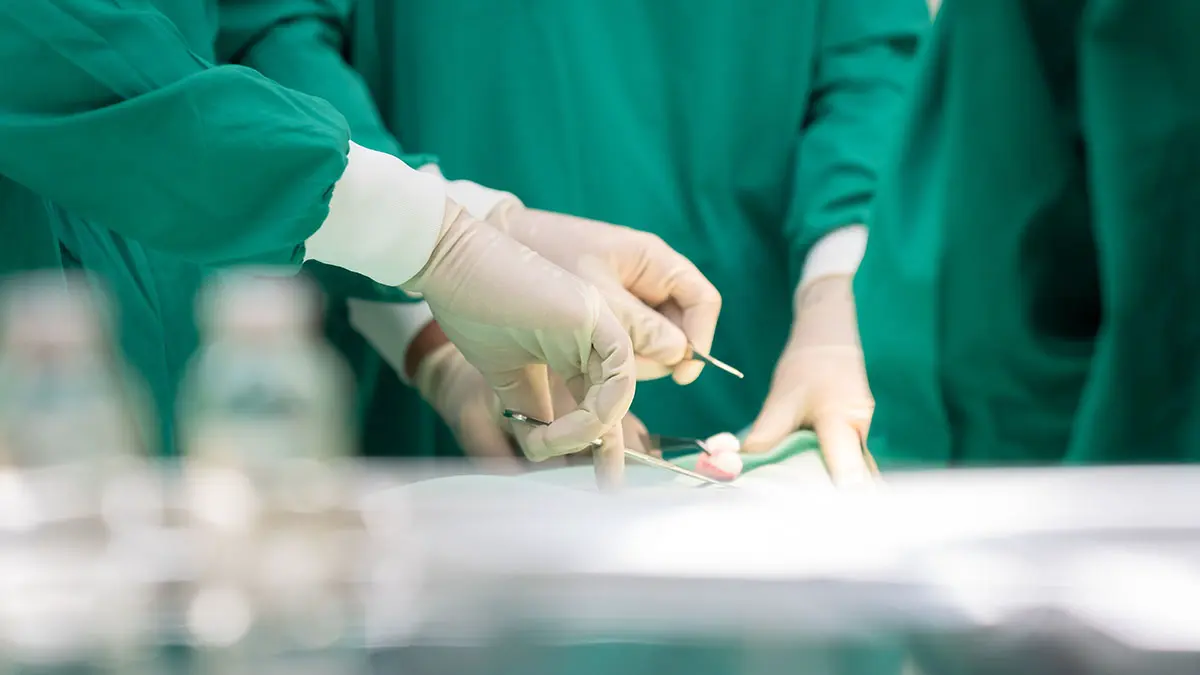 Трансплантация почки стала бесплатной в России