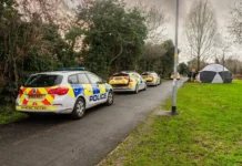 Школьница из Сместоу нашла останки у ворот Вулвергемптона shkolnicza iz smestou nashla ostanki u vorot vulvergemptona-ekaterinburgu-ru-0