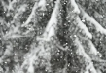 Ситуация на границе России и Грузии в районе Верхнего Ларса улучшается situacziya na granicze rossii i gruzii v rajone verhnego larsa uluchshaetsya-ekaterinburgu-ru-0