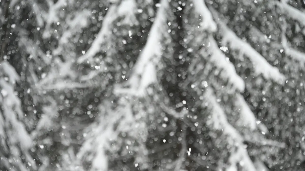 Shot: Сотни машин застряли на границе России и Грузии из-за снега