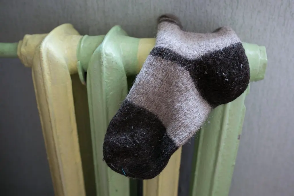 Фото: primamedia.ru