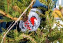 Участвуйте в фестивале «Путешествие в Рождество» и Елочном круговороте uchastvujte v festivale puteshestvie v rozhdestvo i elochnom krugovorote-ekaterinburgu-ru-0