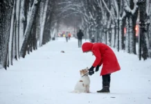 В Москве прогнозируют сильные морозы до –25 градусов по Цельсию v moskve prognoziruyut silnye morozy do 25 gradusov po czelsiyu-ekaterinburgu-ru-0