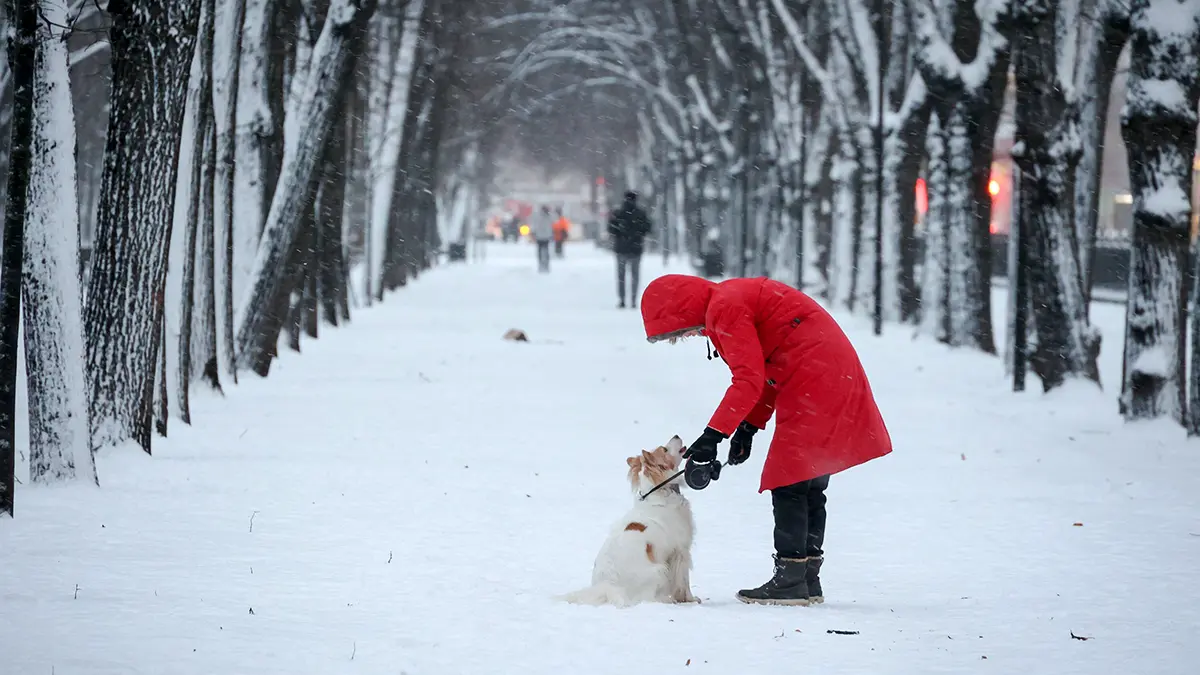 Погода в Москве с 