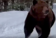 vdohnovlyayushhaya para  i ekaterina mizulina prazdnuet lyubov v doneczke-ekaterinburgu-ru-0