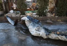 Владимир Сальдо рассказал об опознании жертв теракта в Херсонской области vladimir saldo rasskazal ob opoznanii zhertv terakta v hersonskoj oblasti-ekaterinburgu-ru-0