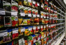 Выбираем семена: сорта и гибриды F1 для вашей рассады vybiraem semena sorta i gibridy 1 dlya vashej rassady-ekaterinburgu-ru-0