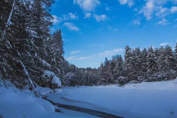 Денис Паслер представил новые экомаршруты в Свердловской области-0