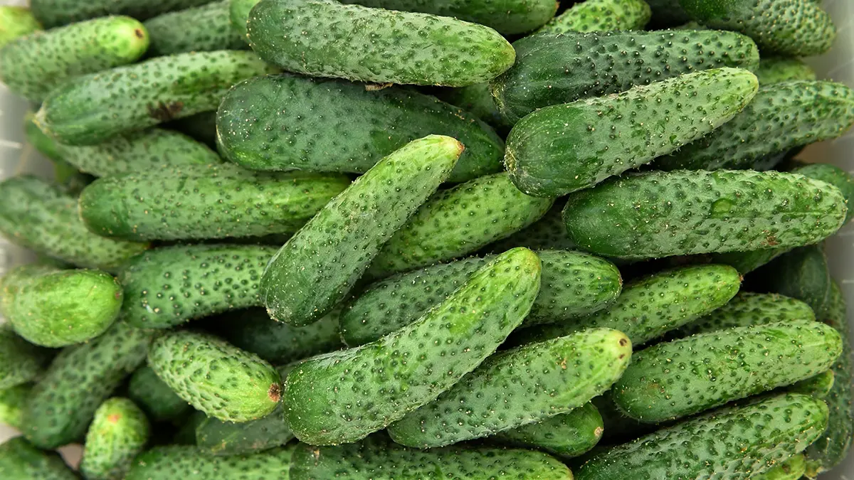 Когда подешевеют огурцы в России, февраль 2026