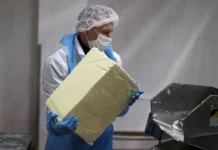 Мировые цены на продовольствие радуют снижением – данные ФАО, Росстат mirovye czeny na prodovolstvie raduyut snizheniem dannye fao rosstat-ekaterinburgu-ru-0