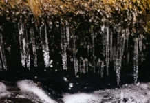 Примгидромет прогнозирует весеннее тепло в Приморье на неделе primgidromet prognoziruet vesennee teplo v primore na nedele-ekaterinburgu-ru-0