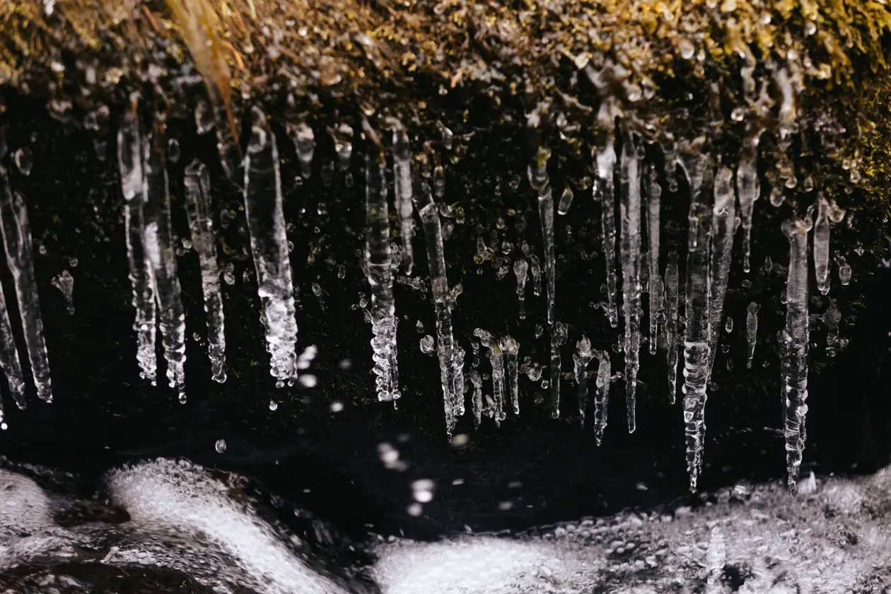 Фото: primamedia.ru