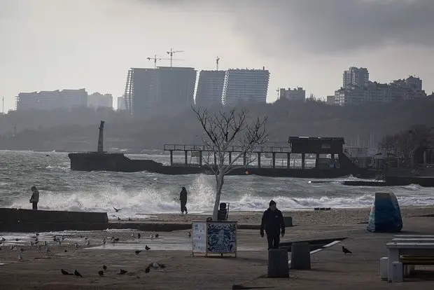 Вводная картинка