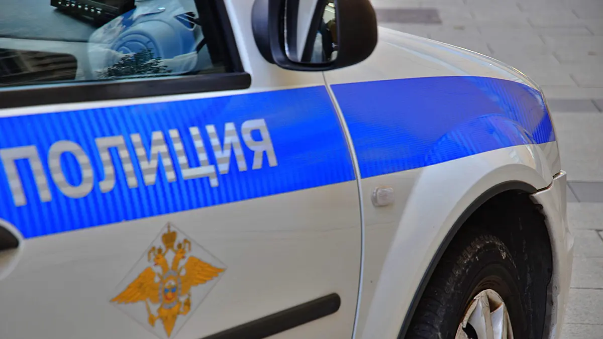 Полиция изъяла 21 куст конопли, выращенный местными жителями в Петергофе