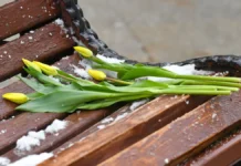 Добровольский и Ветров: меняем подход к 8 Марта на работе dobrovolskij i vetrov menyaem podhod k 8 marta na rabote-ekaterinburgu-ru-0