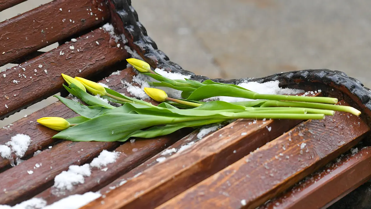 Россиянок раздражает формальное празднование 8 Марта на работе вместо премии