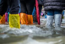 МЧС и дагестанцы спасают животных в Махачкале и Дербенте mchs i dagestanczy spasayut zhivotnyh v mahachkale i derbente-ekaterinburgu-ru-0