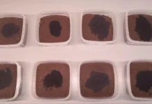 Новые разработки ЮФУ: биоуголь эффективно борется с тяжелыми металлами novye razrabotki yufu biougol effektivno boretsya s tyazhelymi metallami-ekaterinburgu-ru-0