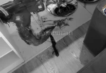 Работа СКР и инцидент на Ходынском бульваре в Москве rabota skr i inczident na hodynskom bulvare v moskve-ekaterinburgu-ru-0