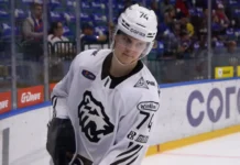 Салават Юлаев и Автомобилист сыграют в плей-офф Кубка Гагарина salavat yulaev i avtomobilist sygrayut v plejoff kubka gagarina-ekaterinburgu-ru-0