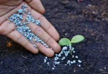 kbgu i amiran zanilov bioudobrenie iz pometa dlya ekologii-ekaterinburgu-ru-0